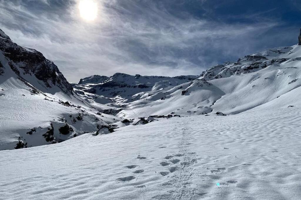 Studio Cabine Piau-Engaly Au Pied Des Pistes Aragnouet Dış mekan fotoğraf